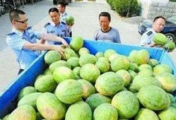 叶县网红吃瓜群微信,揭秘网络红人的幕后故事