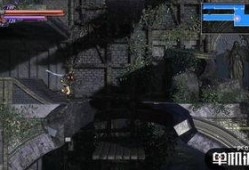 漂泊武士惨不惨爆料视频,揭秘爆料视频背后的心酸故事